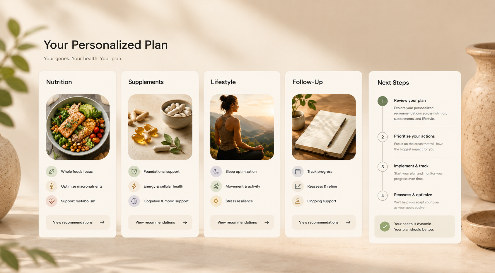 Premium personalized protocol plan cards in warm clinical light